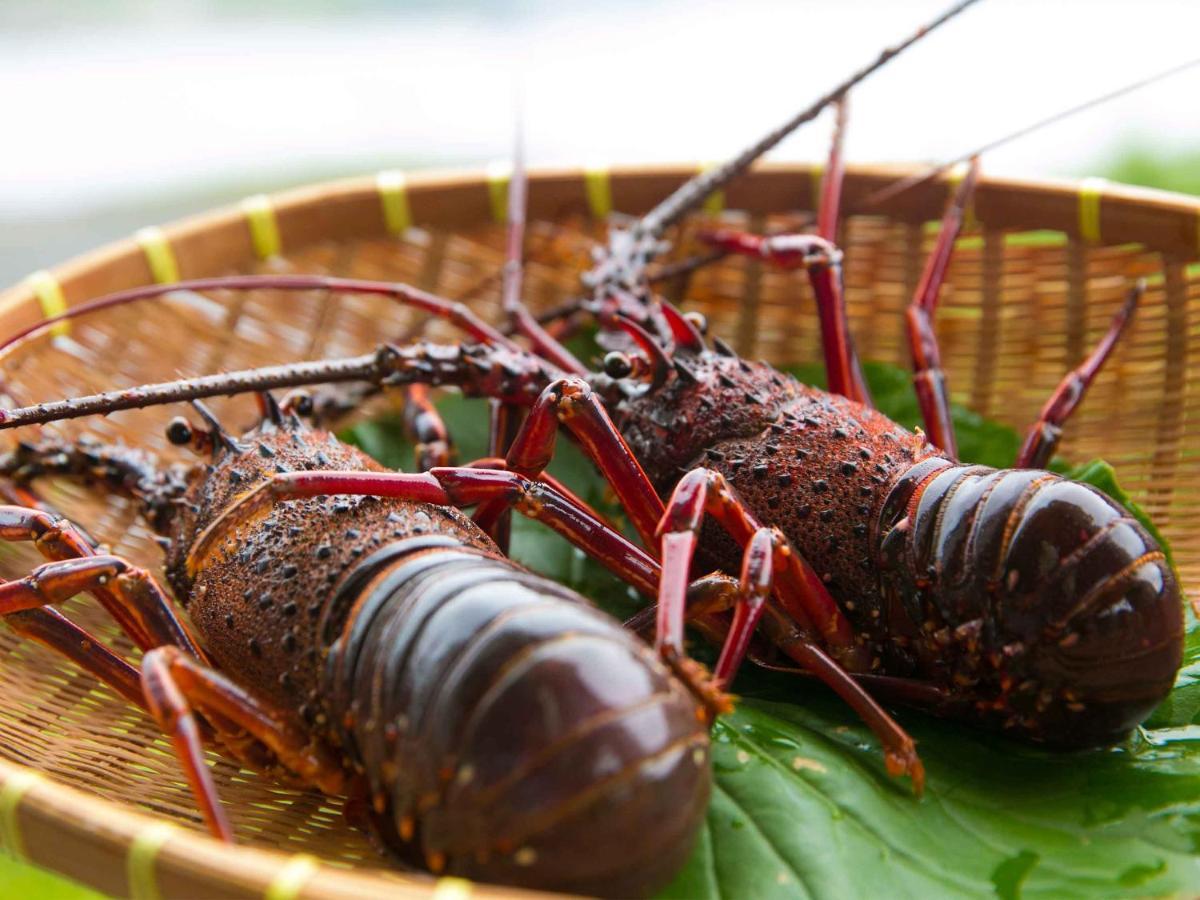 Iseebisou Minamikyushu Ngoại thất bức ảnh